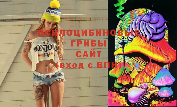 стафф Абаза